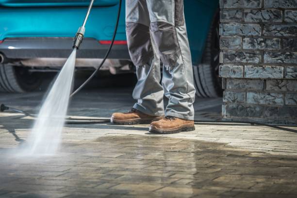 Best Boat and Dock Cleaning  in Hamshire, TX