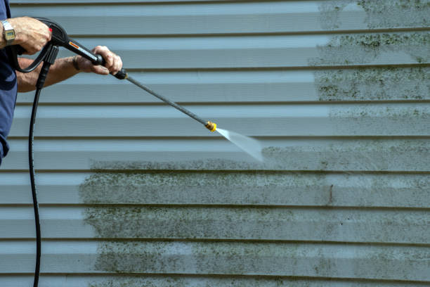 Best Driveway Pressure Washing  in Hamshire, TX
