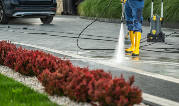 Best Gutter Cleaning  in Hamshire, TX