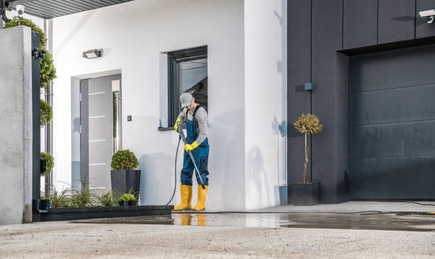 Best Soft Washing  in Hamshire, TX